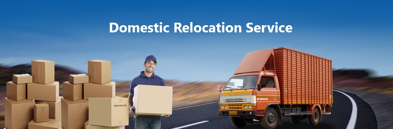 Domestic Relocation Service in Delhi